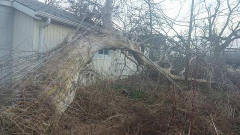 February 2016 - Woodstock-Random-Find30.jpg