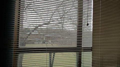 School Time! - The-Beta-(2)-School19.jpg