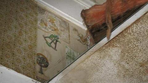 School Time! - The-Beta-(2)-School20.jpg