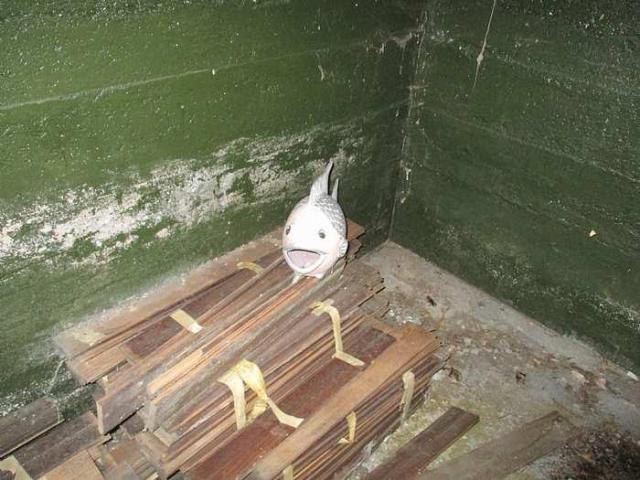 The Beta (2) School photo 5