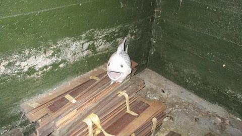 School Time! - The-Beta-(2)-School27.jpg