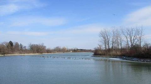 Photo from Febuary 2016