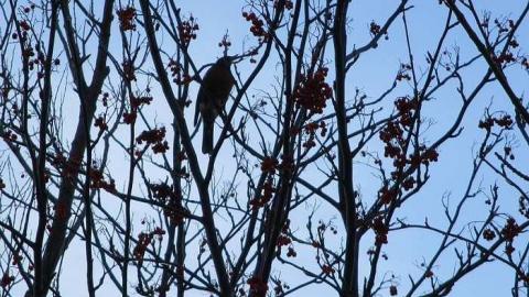 Photo from Febuary 2016