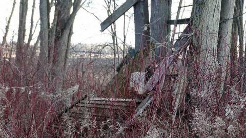 Sonotube Jungle - Migrant-camp15.jpg