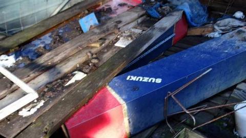 Photo from Sonotube Jungle