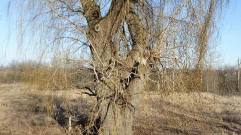 Ol' Blue - z-DSC00053.jpg