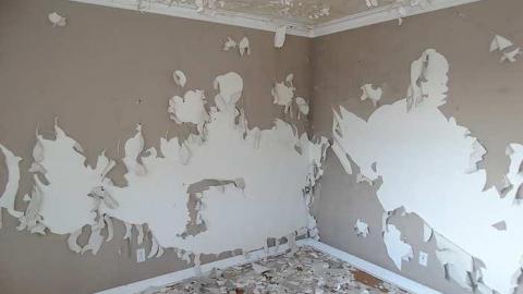 Ol' Blue - g-DSC00069.jpg