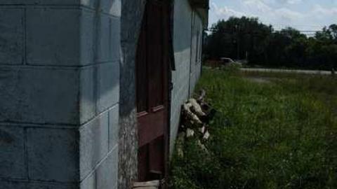 Photo from Luca Meats