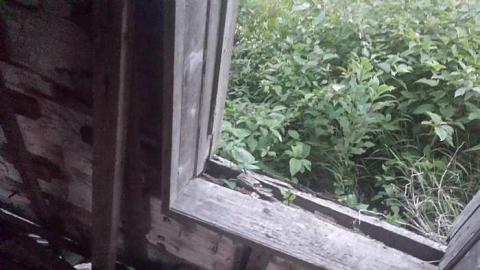 Photo from Leaning In Melancthon