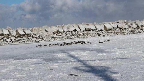 Feb 13, 2016 - Le-Grande-Hermine-Ghost-Ship53.jpg