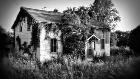 Photo from JW Clarke and toys