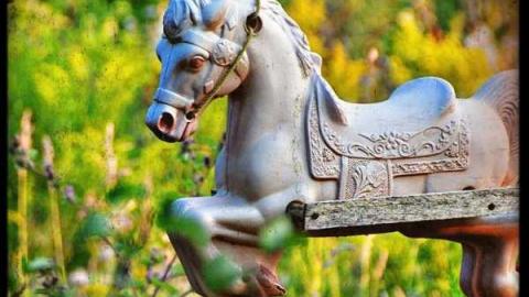 Photo from JW Clarke and toys