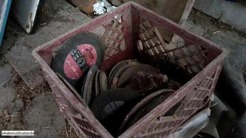 Suburban Barn photo 4