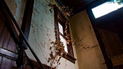 Lost Education - The-Beta-(2)-School5.jpg