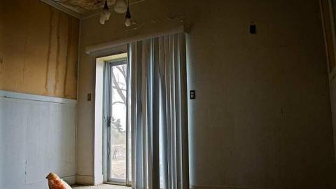 Lost Education - The-Beta-(2)-School13.jpg