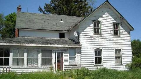 Another Leslie Street Farm photo 3