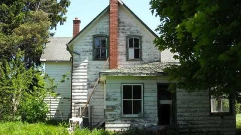 Another Leslie Street Farm photo 2