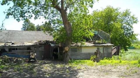 2nd house, June 1st - Teston-Road-Double-Feature17.jpg