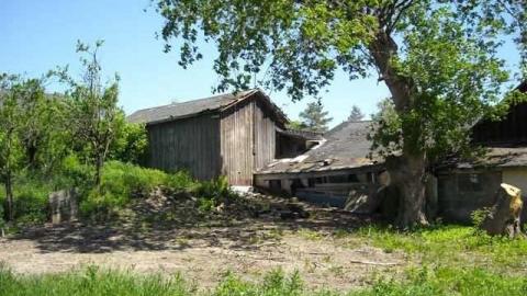 2nd house, June 1st - Teston-Road-Double-Feature18.jpg