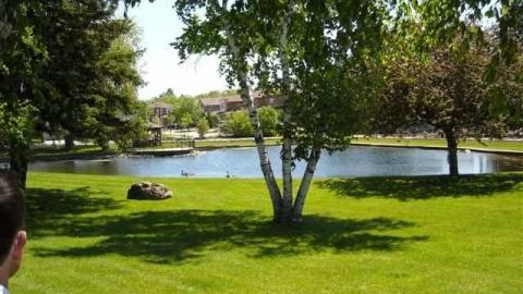 2nd house, June 1st - Teston-Road-Double-Feature23.jpg