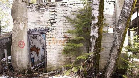 February 2016 - Donald-(ghost-chemical-plant)279.jpg