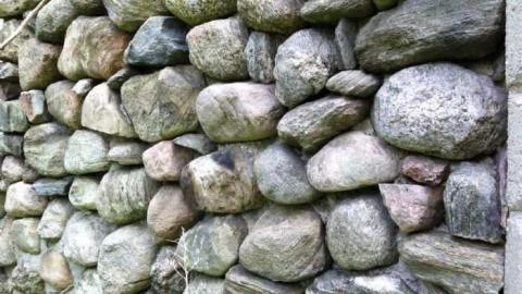 Wrigley Farm - photo6.jpg