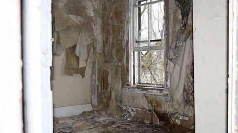 Decaying - Tall-Red-on-8695.jpg