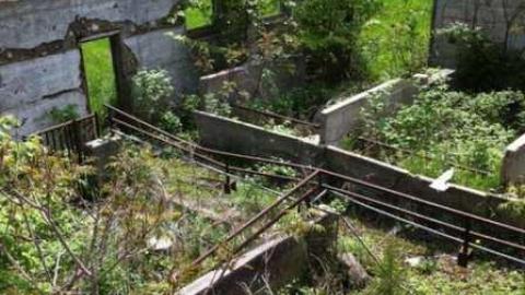 Wrigley Farm - photo7.jpg