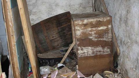 Decaying - Tall-Red-on-8690.jpg