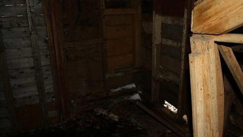 Decaying - Tall-Red-on-86132.jpg