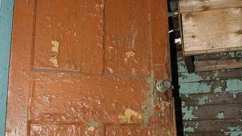 Decaying - Tall-Red-on-8691.jpg