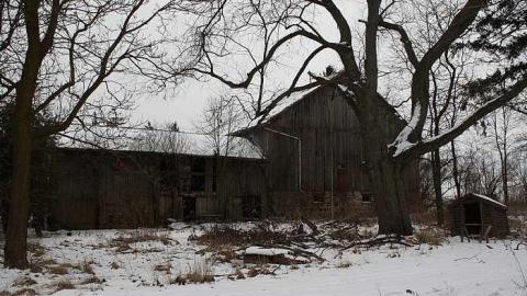 Decaying - Tall-Red-on-8692.jpg