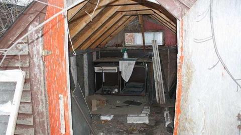 Decaying - Tall-Red-on-86127.jpg