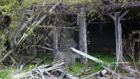 Wrigley Farm - photo8.jpg