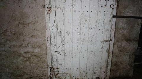 Decaying - Tall-Red-on-86128.jpg