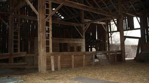 Decaying - Tall-Red-on-86130.jpg