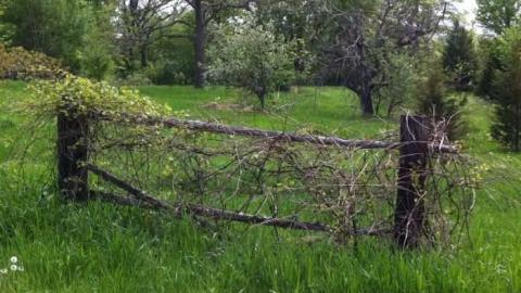 Wrigley Farm - photo9.jpg