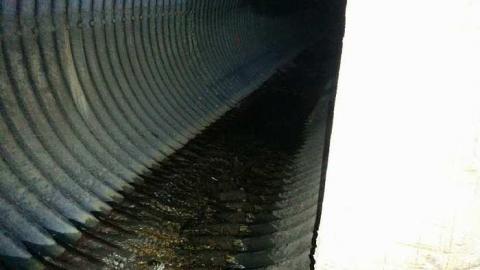 Cooksville Creek Drain - Cooksville-Creek-Storm-Drain9.jpg