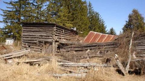 Maplewood - Donald-Schenk-farm52.jpg