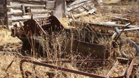 Maplewood - Donald-Schenk-farm53.jpg