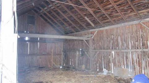 The Yellow Light - IMG_0432.jpg