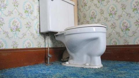 The Yellow Light - IMG_0445.jpg