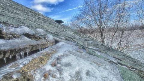 Taking a Peek at the Roof - IMG_0461270216AD0030.jpg