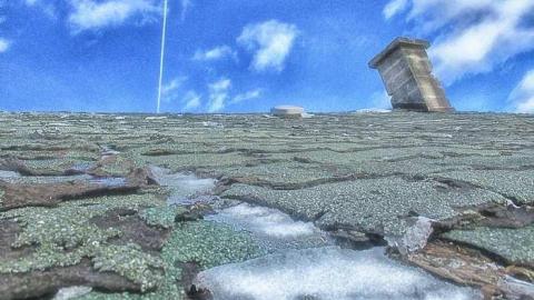 Taking a Peek at the Roof - IMG_0462270216AE0031.jpg