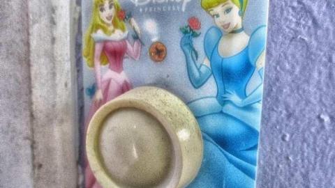 Taking a Peek at the Roof - IMG_0463270216AF0032.jpg