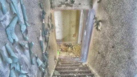 Taking a Peek at the Roof - IMG_0465270216AH0034.jpg