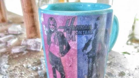 Taking a Peek at the Roof - IMG_0466270216AI0035.jpg