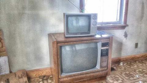 Taking a Peek at the Roof - IMG_0468270216AJ0036.jpg