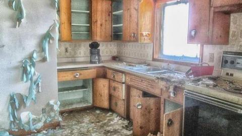 Taking a Peek at the Roof - IMG_0469270216AK0037.jpg