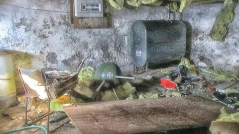 Taking a Peek at the Roof - IMG_0473270216AO0041.jpg